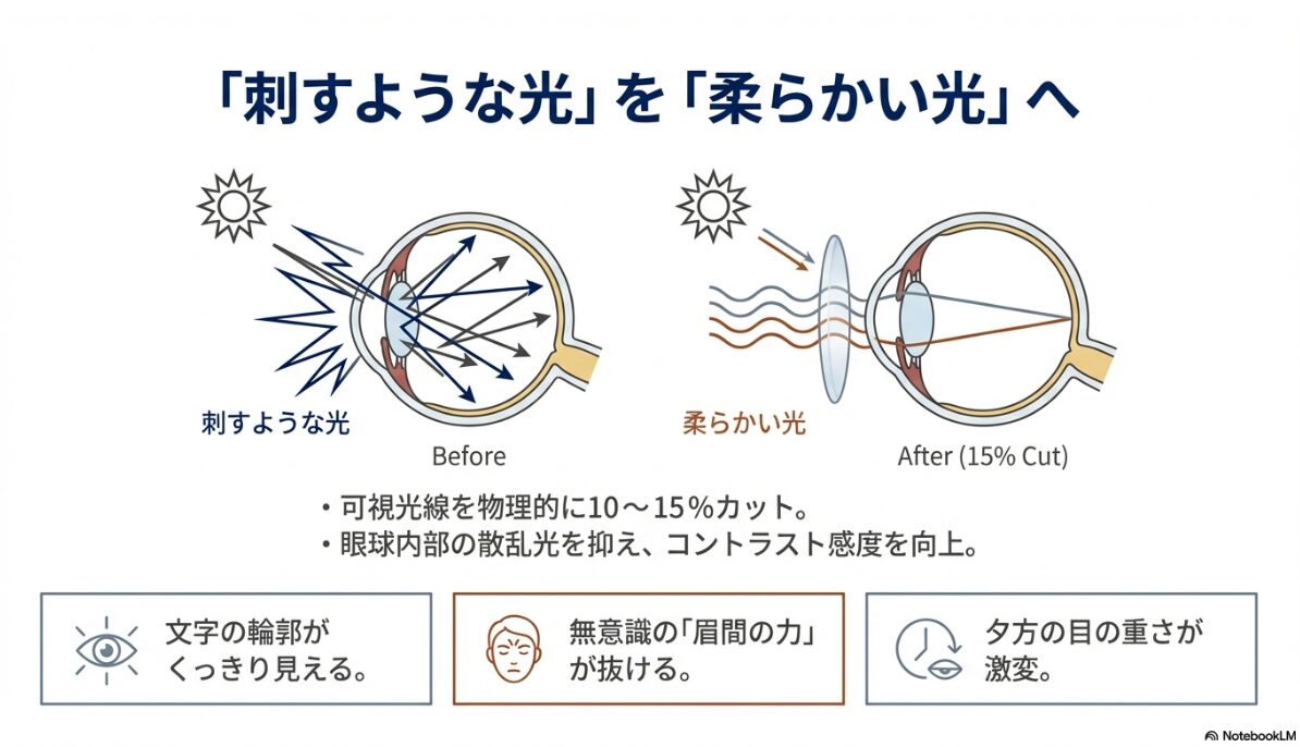 カラーレンズ 度入り 濃度15 ビジネス 仕事の眼精疲労を軽減する機能的メリット